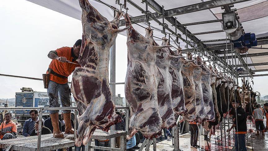 Kurban kesiminde bunlara dikkat etmezseniz etin bozulması kaçınılmaz 6